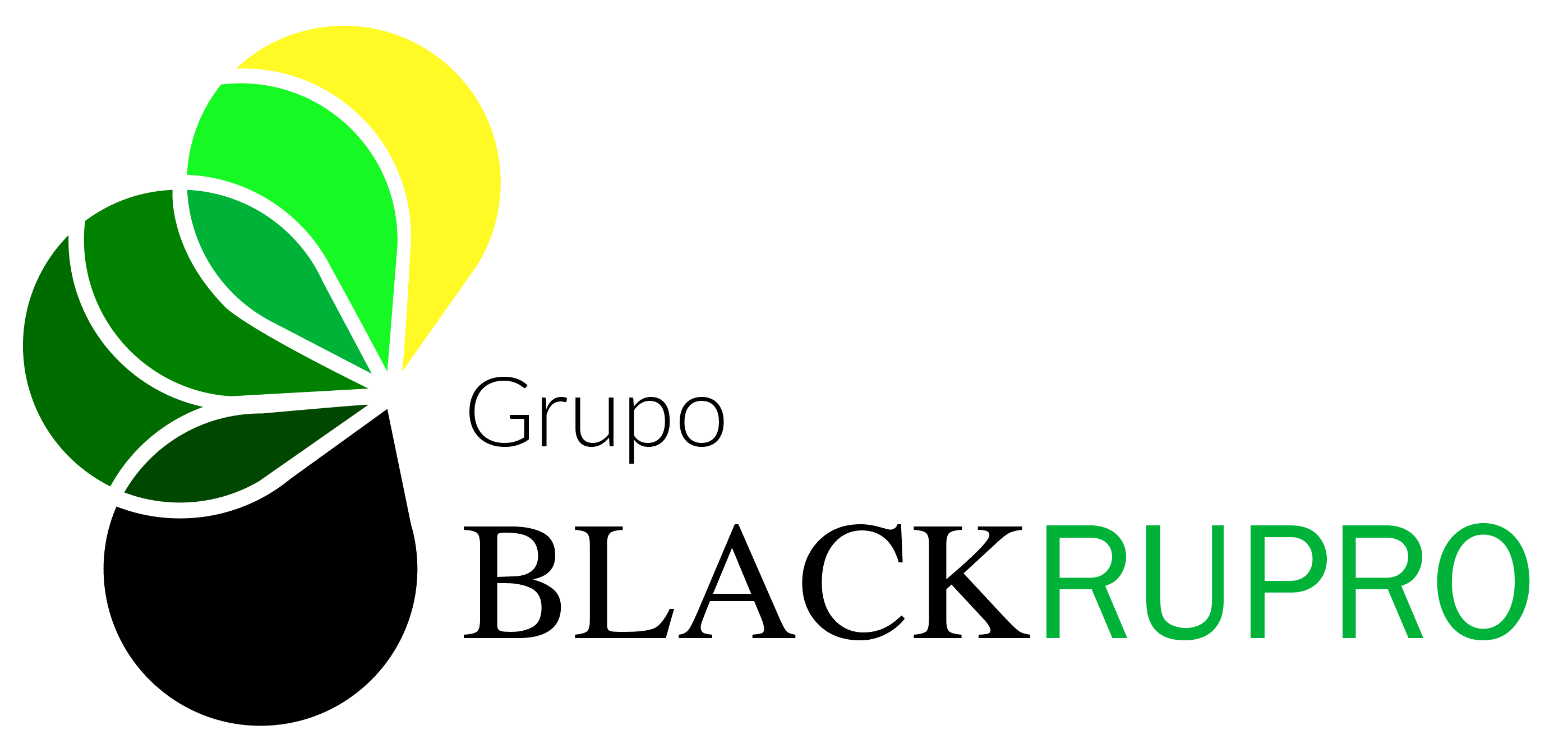 Imagen de la diapositiva